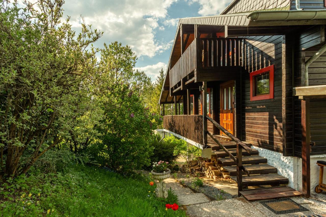 Blockhaus Eifelsteig W/ Kamin Garten & Feuerstelle Berndorf  エクステリア 写真